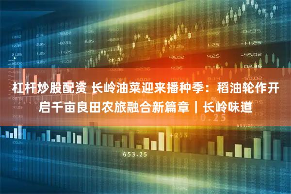 杠杆炒股配资 长岭油菜迎来播种季：稻油轮作开启千亩良田农旅融合新篇章｜长岭味道