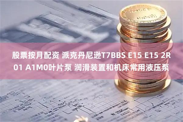 股票按月配资 派克丹尼逊T7BBS E15 E15 2R01 A1M0叶片泵 润滑装置和机床常用液压泵